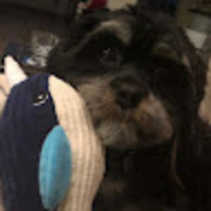 Meet your Posher, Cole